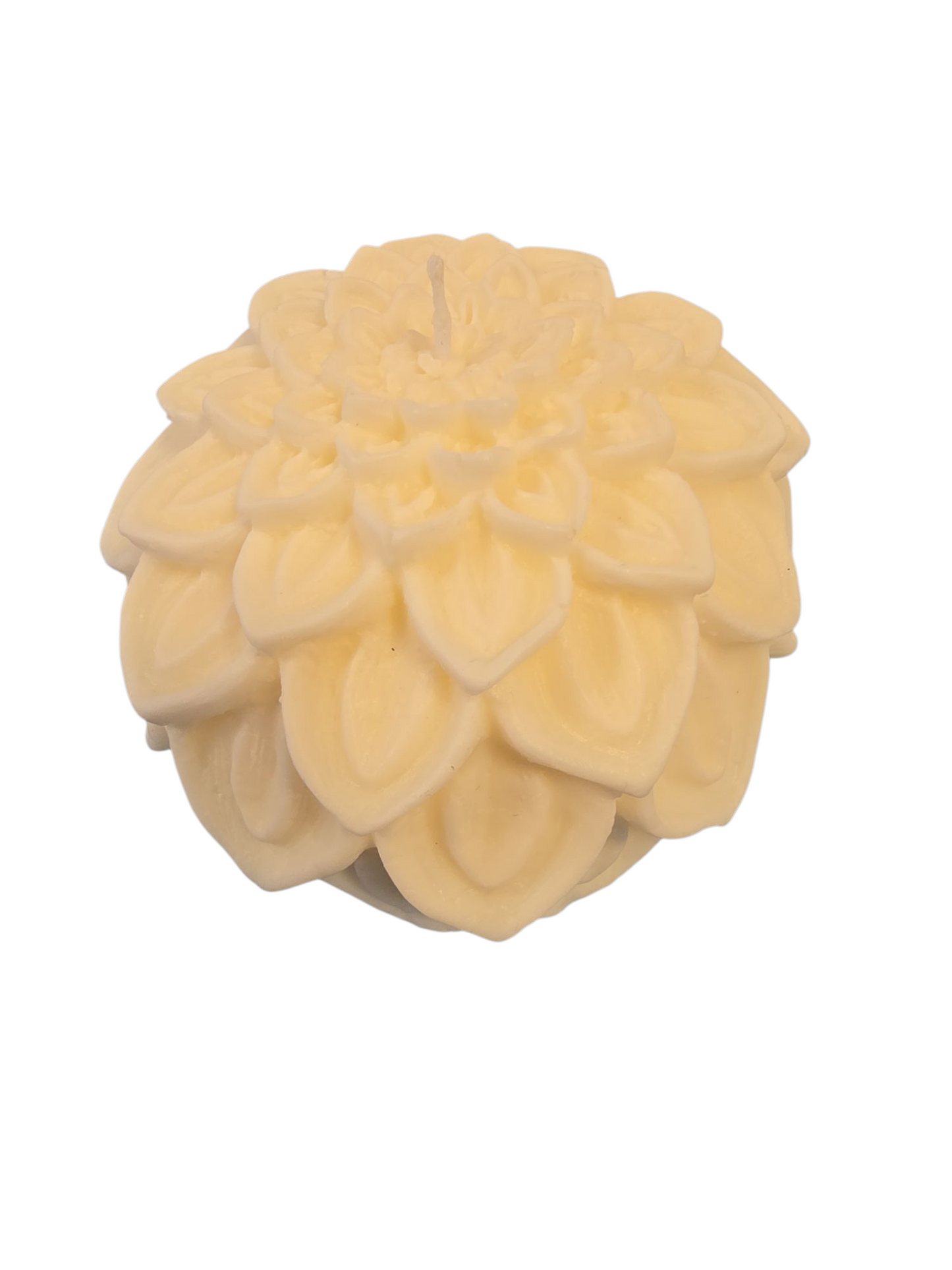 Lotus Flower