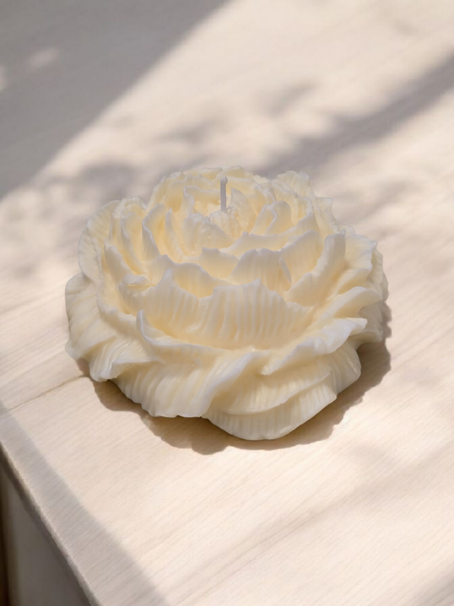 Peony Flower XXL