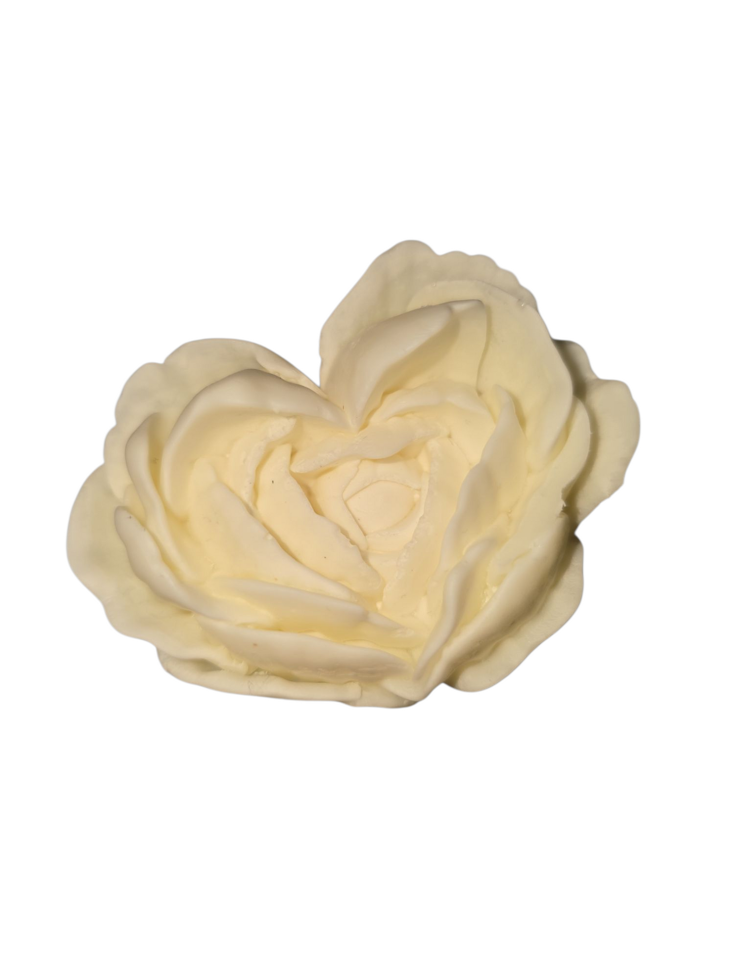 Heartfelt Rose