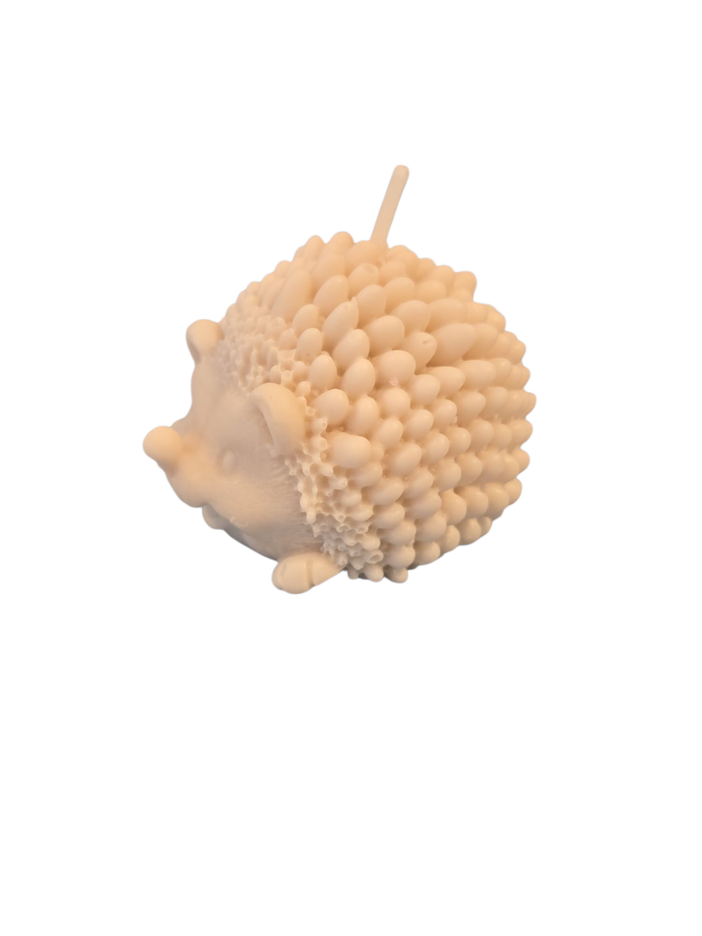 Igel – kuschelig und charmant