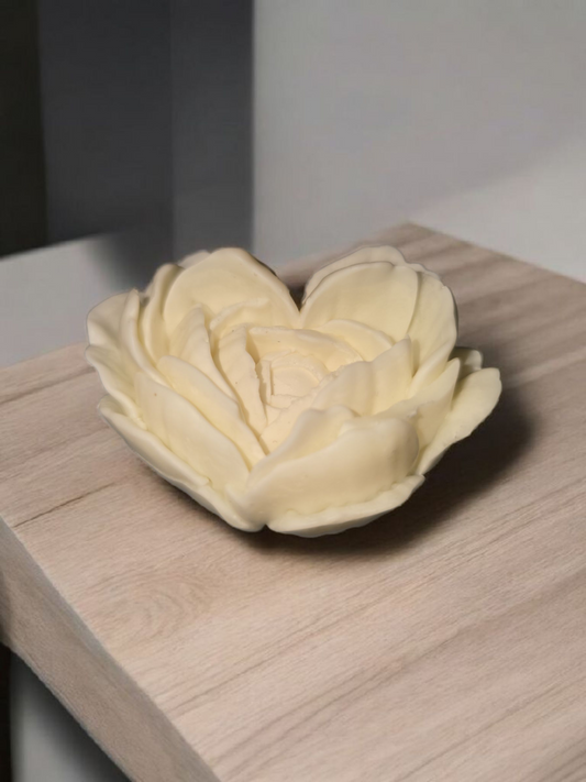 Heartfelt Rose