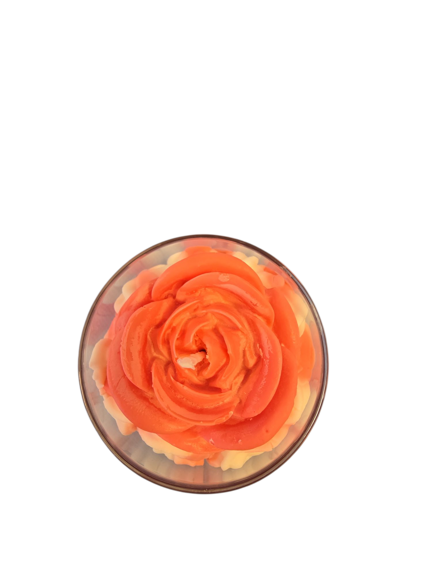 Erdbeerrose