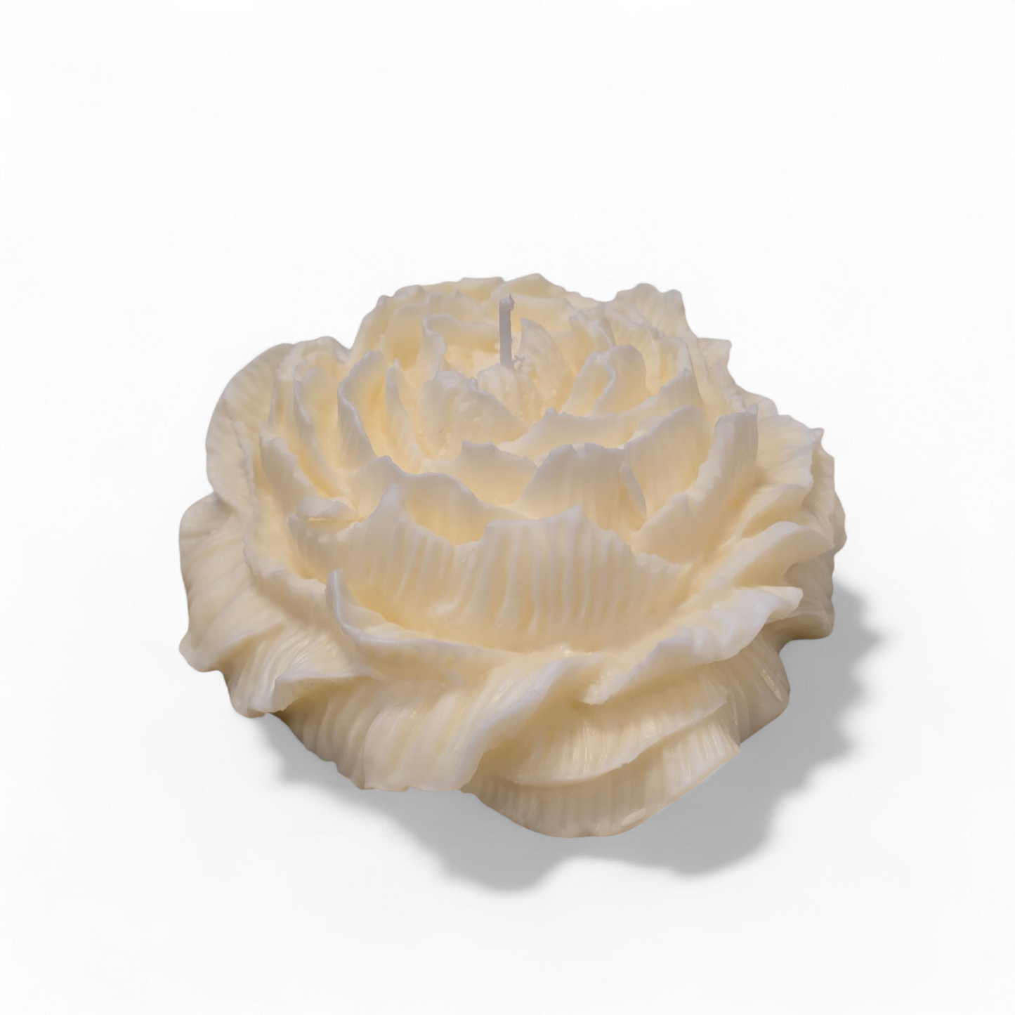 Peony Flower XXL