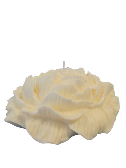 Peony Flower XXL